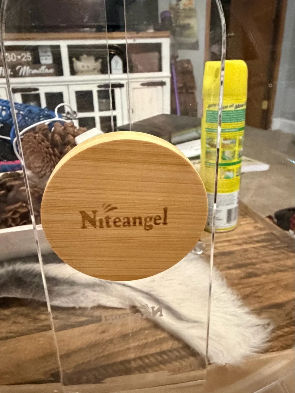 Niteangel Clear Exercise Wheel for Small Pets - Transparent